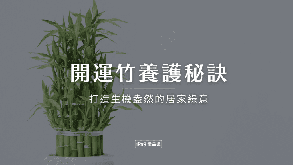 IP_開運竹養護秘訣：完整教學，打造生機盎然的居家綠意