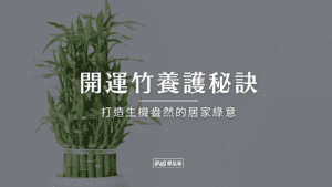 IP_開運竹養護秘訣：完整教學，打造生機盎然的居家綠意
