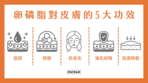 卵磷脂對皮膚的5大功效