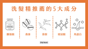 洗髮精推薦 的5大成分