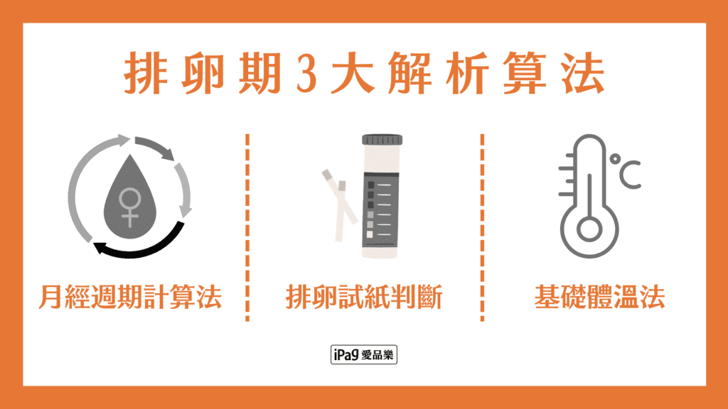 排卵期怎麼算？3種常見方法解析