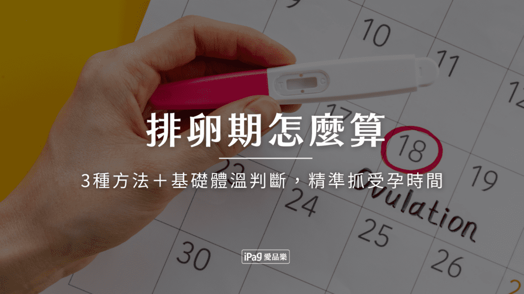 排卵期怎麼算