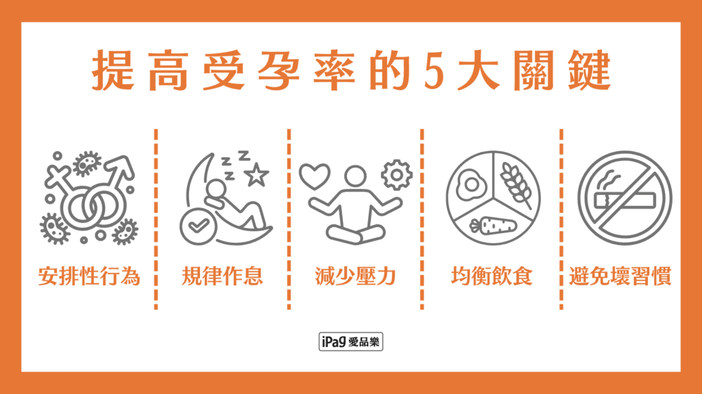 提升受孕率的5個實用方法