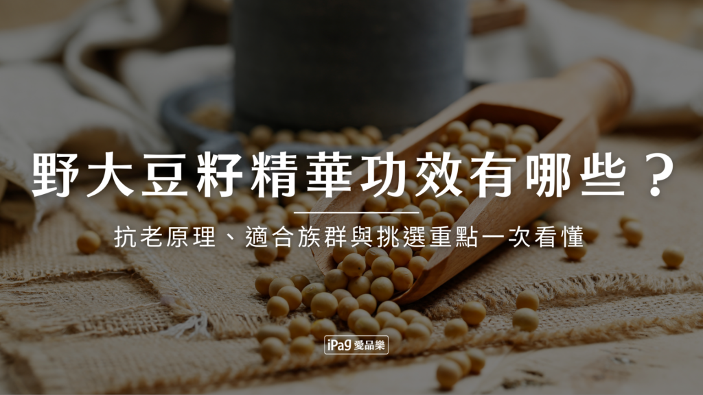 野大豆籽精華功效有哪些？