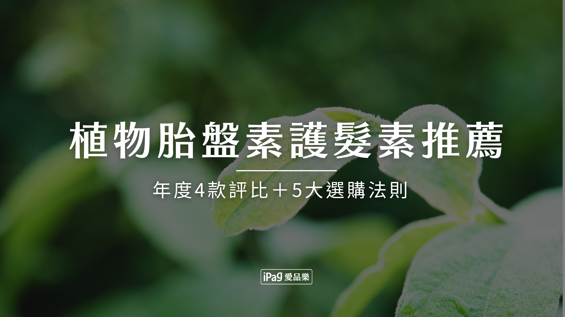 含植物胎盤素的護髮素推薦
