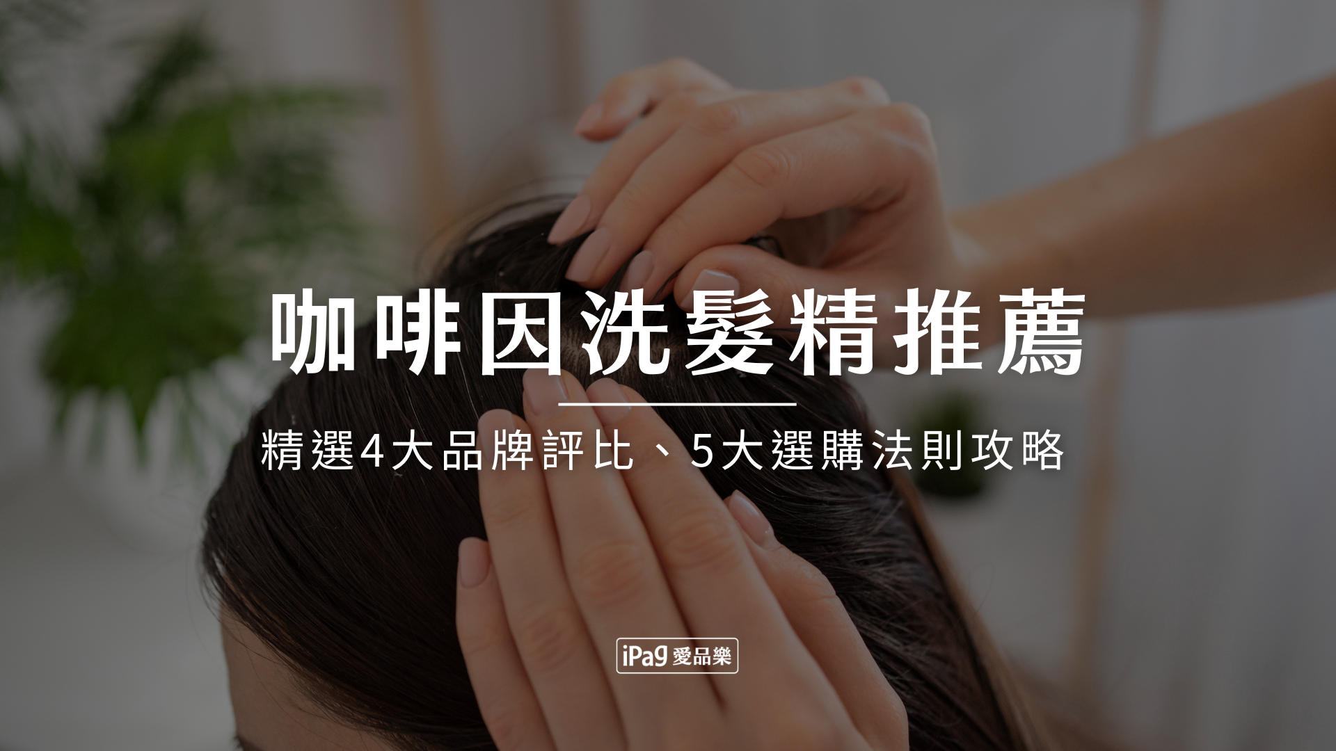 咖啡因洗髮精推薦