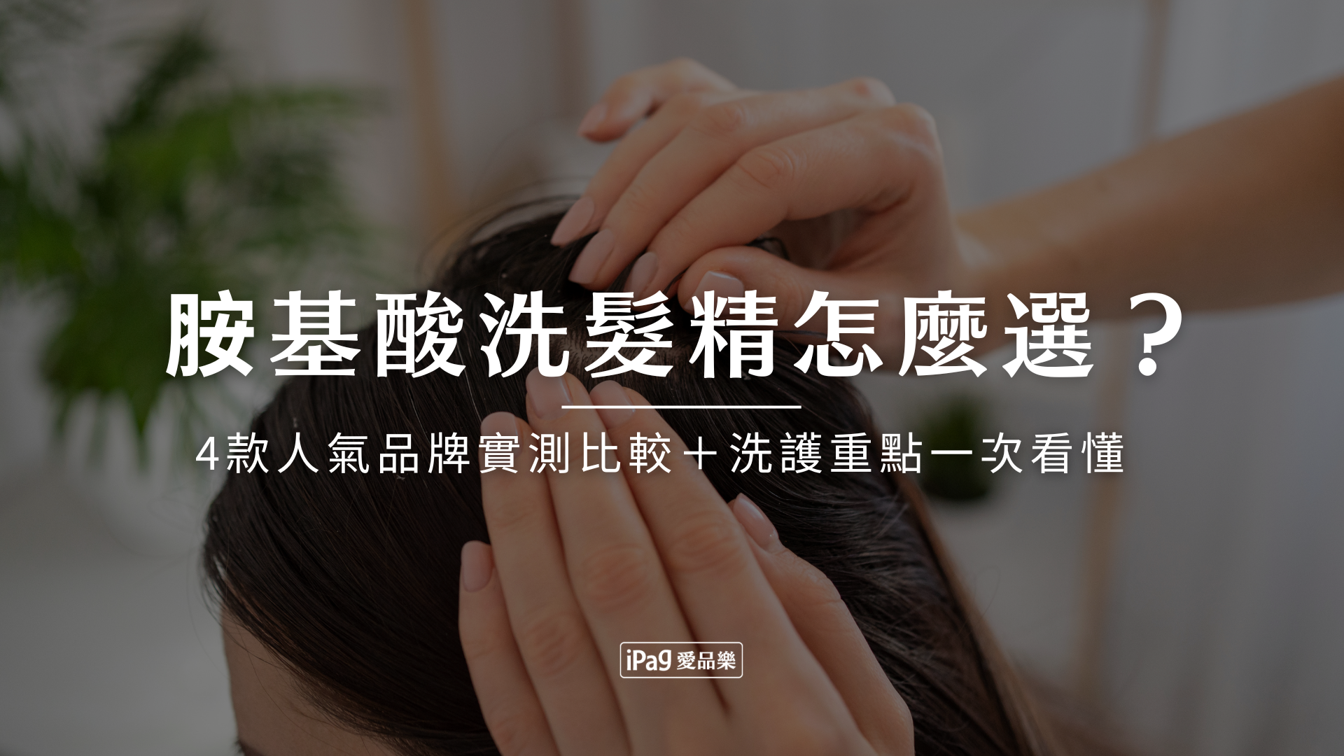胺基酸洗髮精怎麼選
