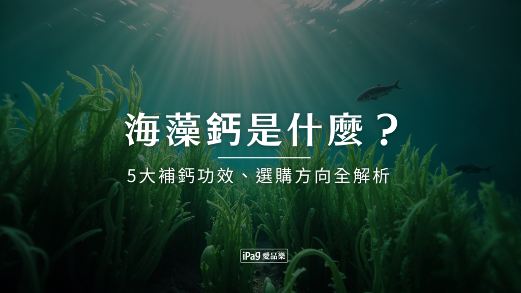 海藻鈣是什麼？