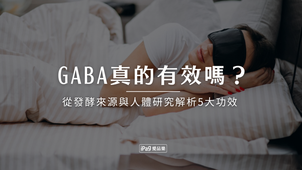 GABA真的有效嗎？從發酵來源與人體研究解析5大功效與注意事項