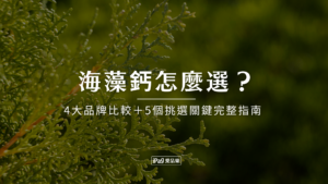 海藻鈣怎麼選?2026年4大品牌比較+5個挑選關鍵完整指南